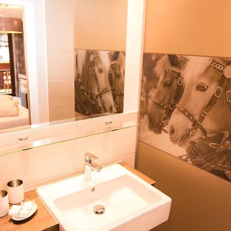 Guest house Almhof-reithof Pitztal 3*