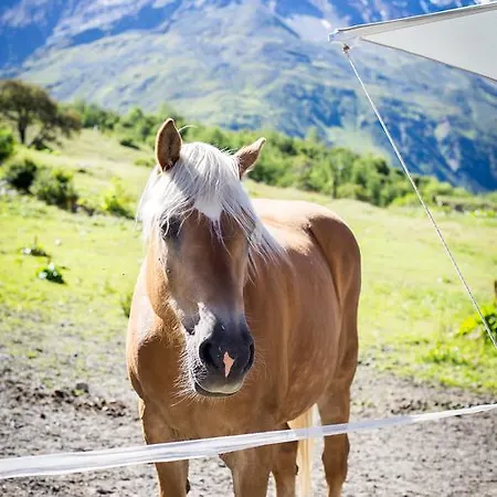 Almhof-reithof Pitztal ゲストハウス