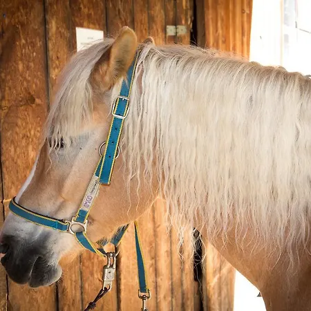 Almhof-reithof Pitztal Gasthof 4*