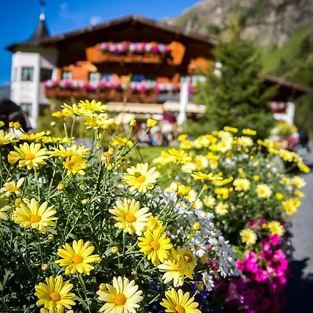 Almhof-reithof Pitztal Penzion 4*
