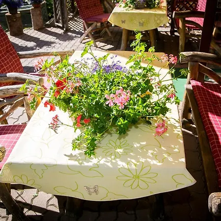 Almhof-reithof Pitztal St. Leonhard im Pitztal