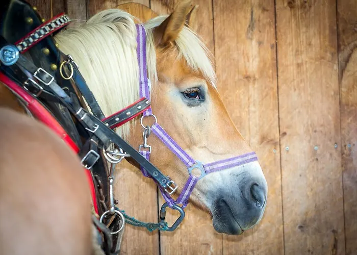 Almhof-reithof Pitztal 4* Sankt Leonhard im Pitztal