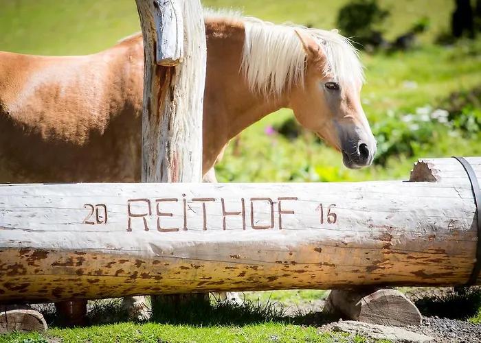 Almhof-reithof Pitztal Sankt Leonhard im Pitztal