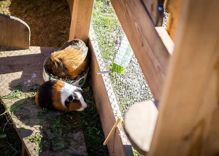 Maison d'hôtes Almhof-reithof Pitztal 4*
