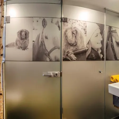 Guest house Almhof-reithof Pitztal Sankt Leonhard im Pitztal