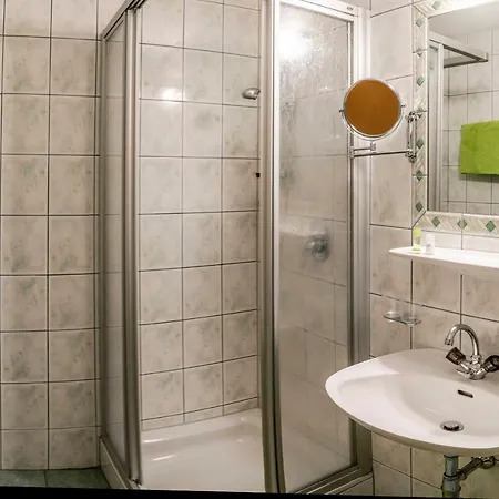 Guest house Almhof-reithof Pitztal