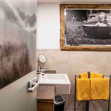 Guest house Almhof-reithof Pitztal