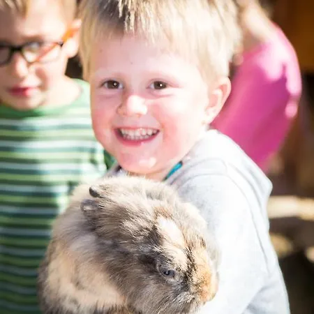 Almhof-reithof Pitztal Guest house Sankt Leonhard im Pitztal