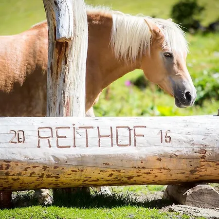 Almhof-reithof Pitztal Sankt Leonhard im Pitztal